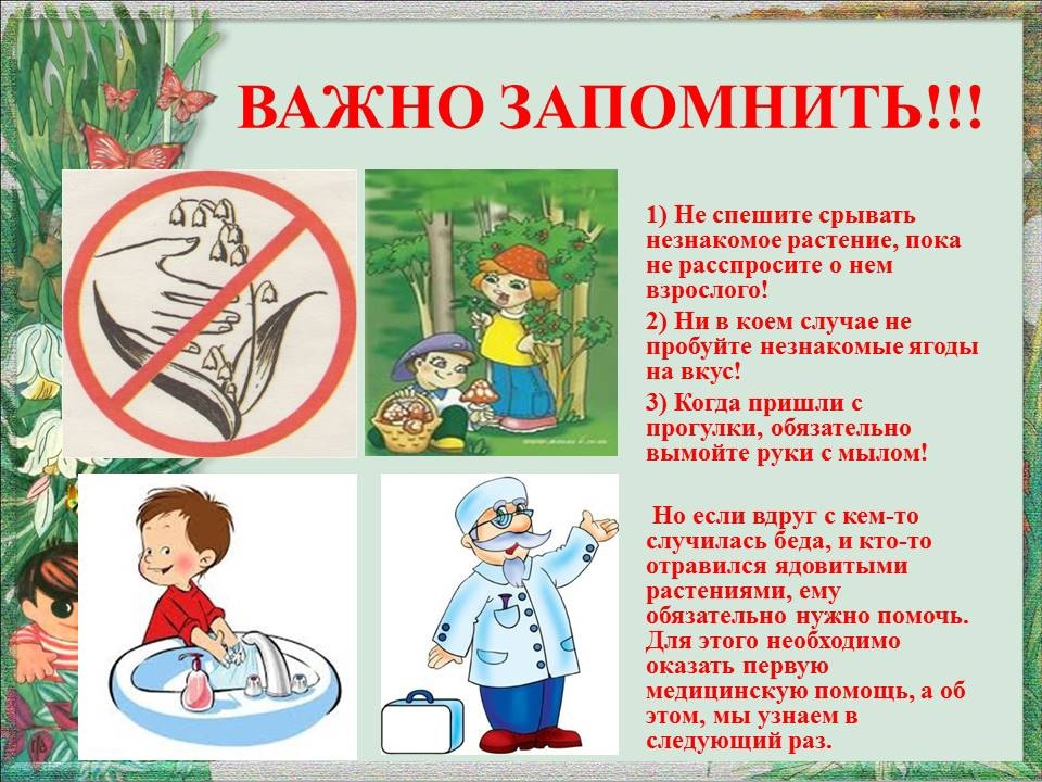 Ядовитые растения в лесу презентация